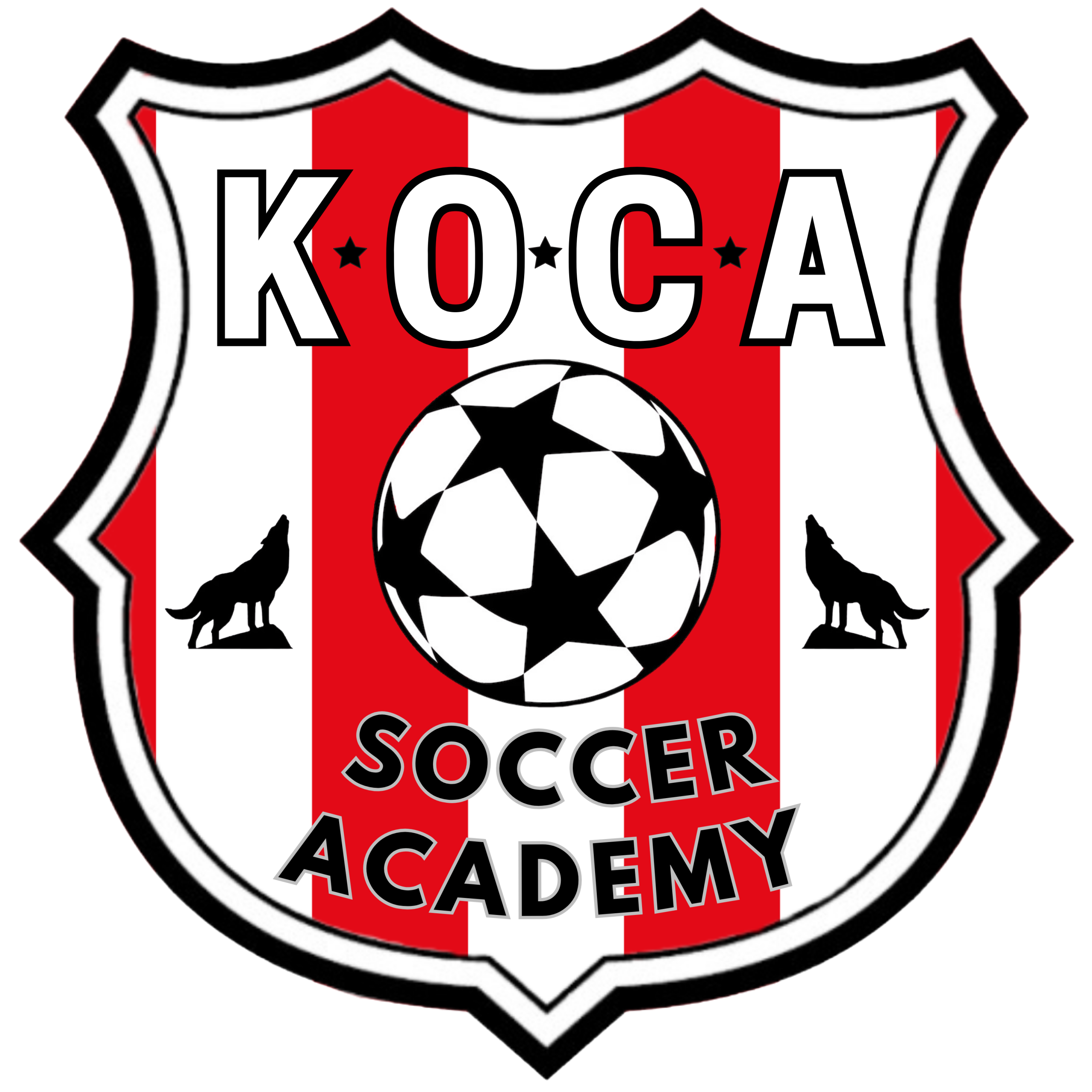 Koca Soccer Academy